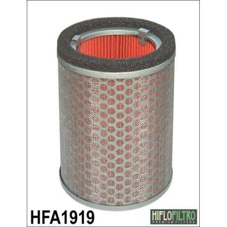 HFA1919 - Filtre aer (Hiflo)