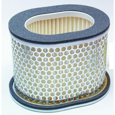 HFA4902 - Filtre aer (Hiflo)